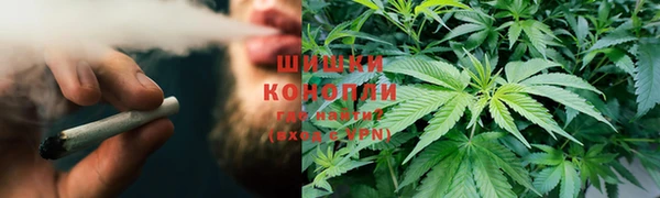 mdpv Богданович