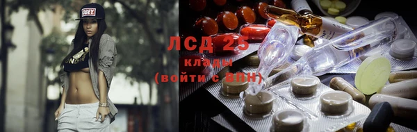 mdpv Богданович