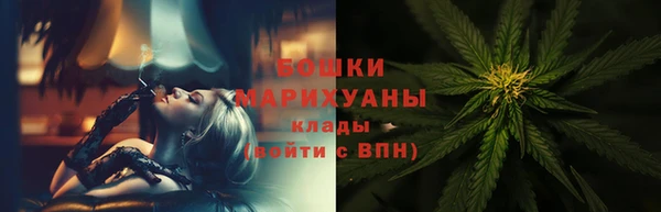 спиды Богородск