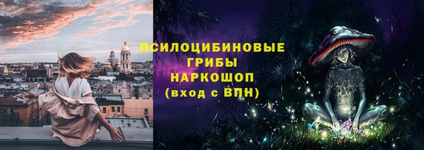 mdpv Богданович